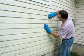 Best Historical Building Siding Restoration  in Medford Lakes, NJ